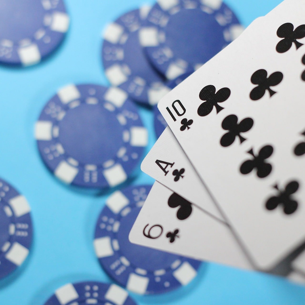 kkbet com